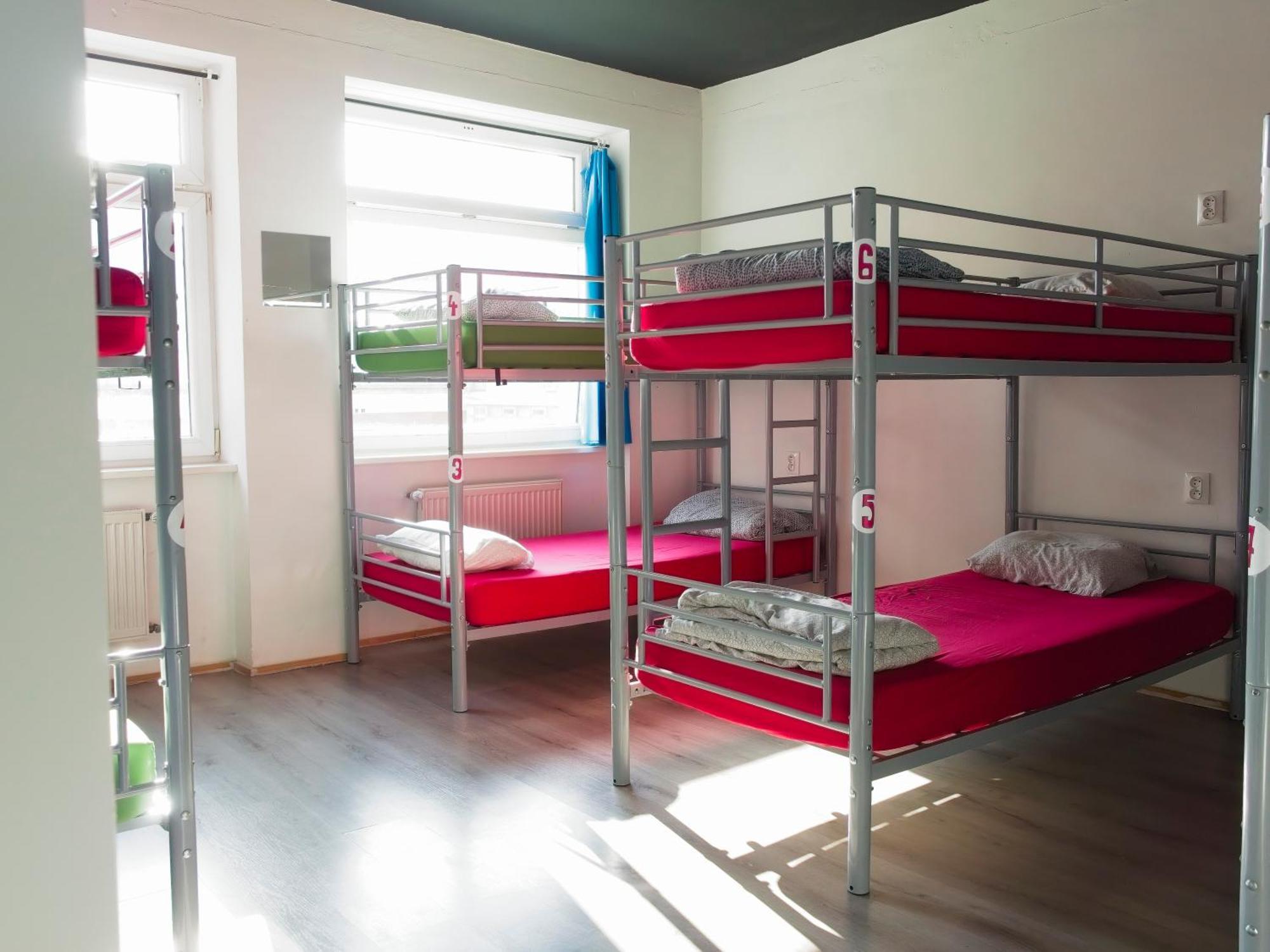 Urban Elephants Hostel ブラチスラヴァ エクステリア 写真