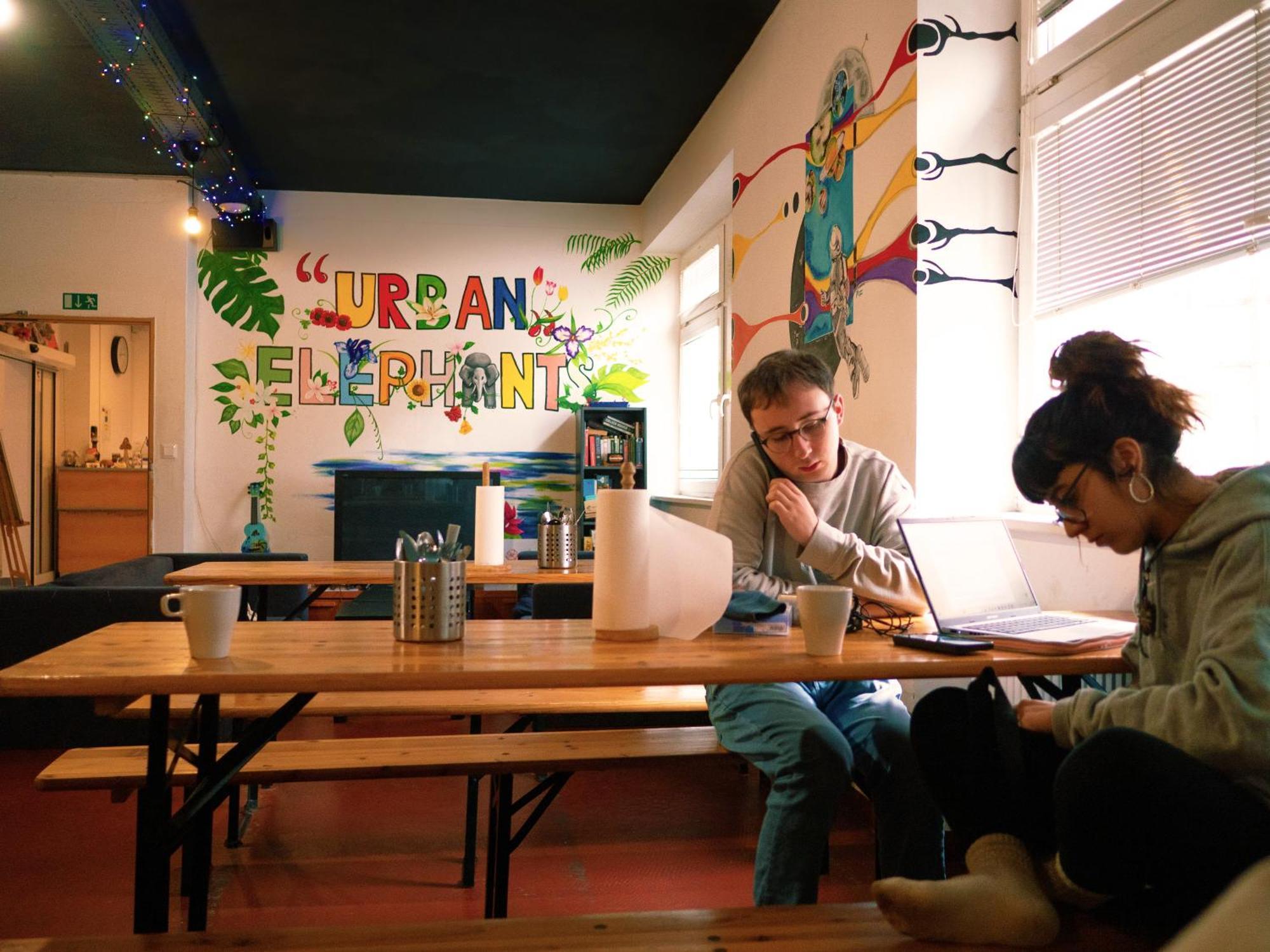 Urban Elephants Hostel ブラチスラヴァ エクステリア 写真